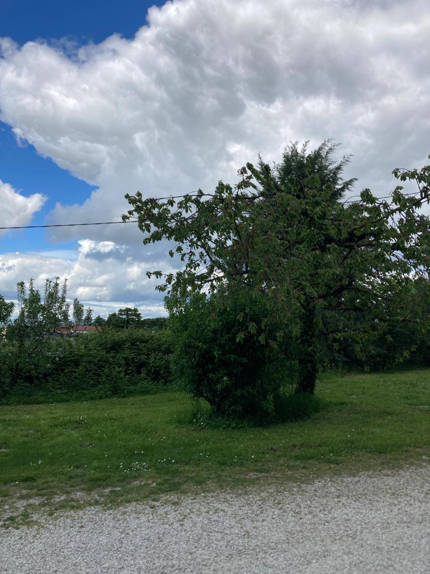 B&B Mama Ro Cesena Zewnętrze zdjęcie