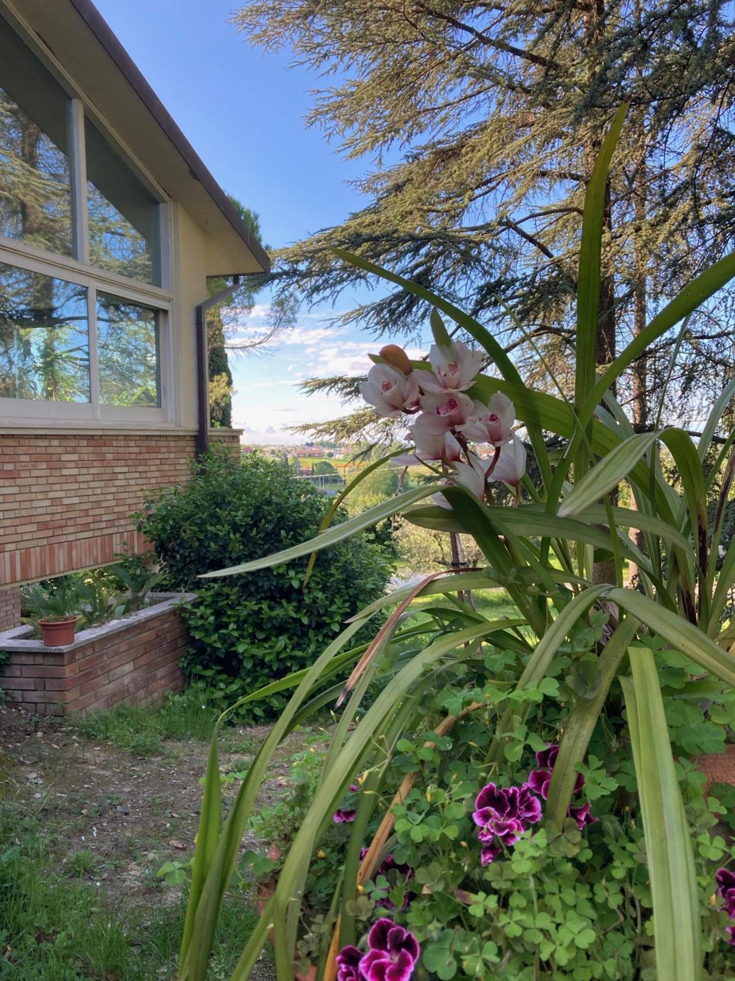 B&B Mama Ro Cesena Zewnętrze zdjęcie