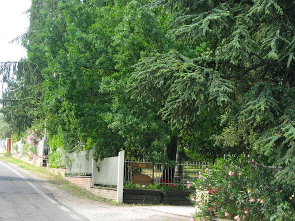 B&B Mama Ro Cesena Zewnętrze zdjęcie